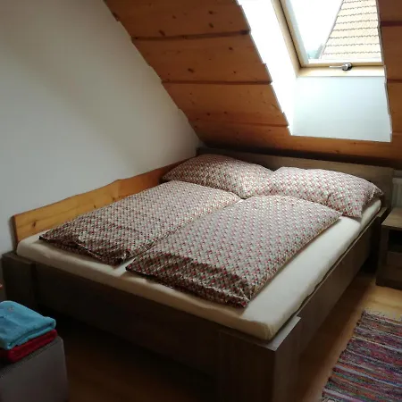 Lenko- Free Bus To Jasna, Chopok, To Tatralandia *