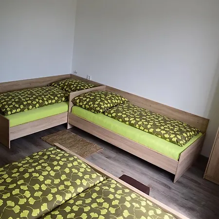 Lenko- Free Bus To Jasna, Chopok, To Tatralandia