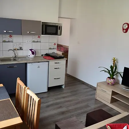 Lenko- Free Bus To Jasna, Chopok, To Tatralandia *