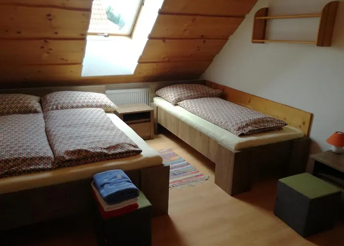 Lenko- Free Bus To Jasna, Chopok, To Tatralandia Appartement *