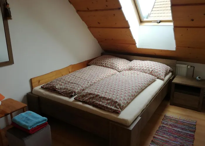 Lenko- Free Bus To Jasna, Chopok, To Tatralandia *